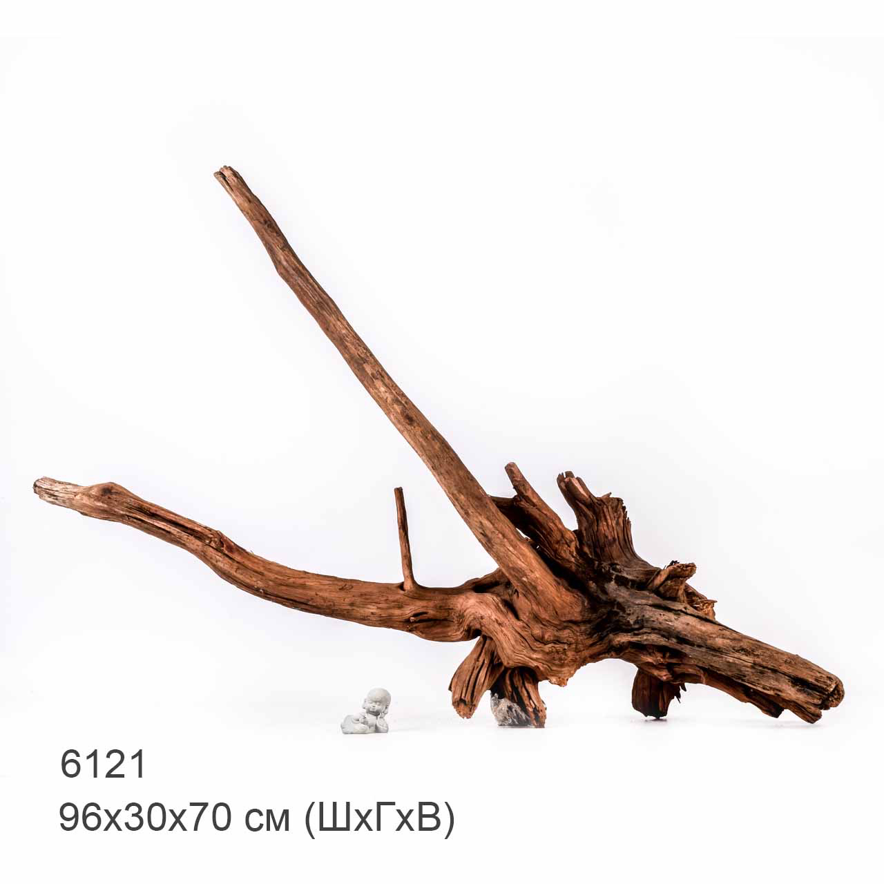 Коряга MASHA BLOOM "Железное дерево" затонувшая мангровая отборная 6121