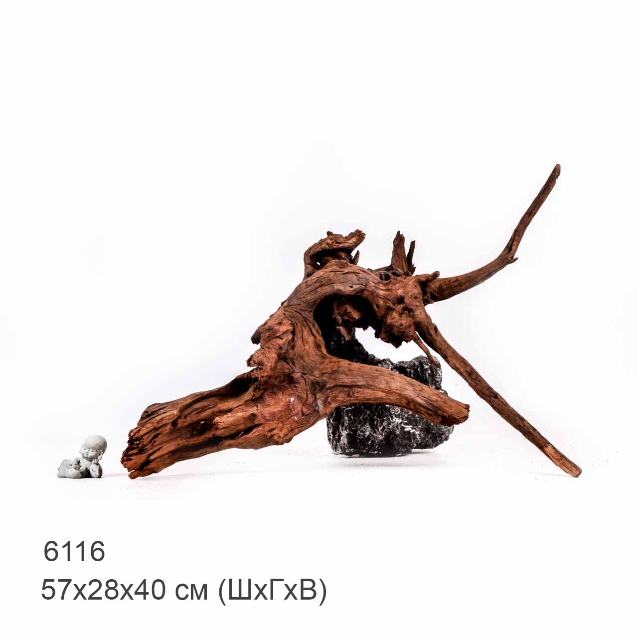 Коряга MASHA BLOOM "Железное дерево" затонувшая мангровая отборная 6116