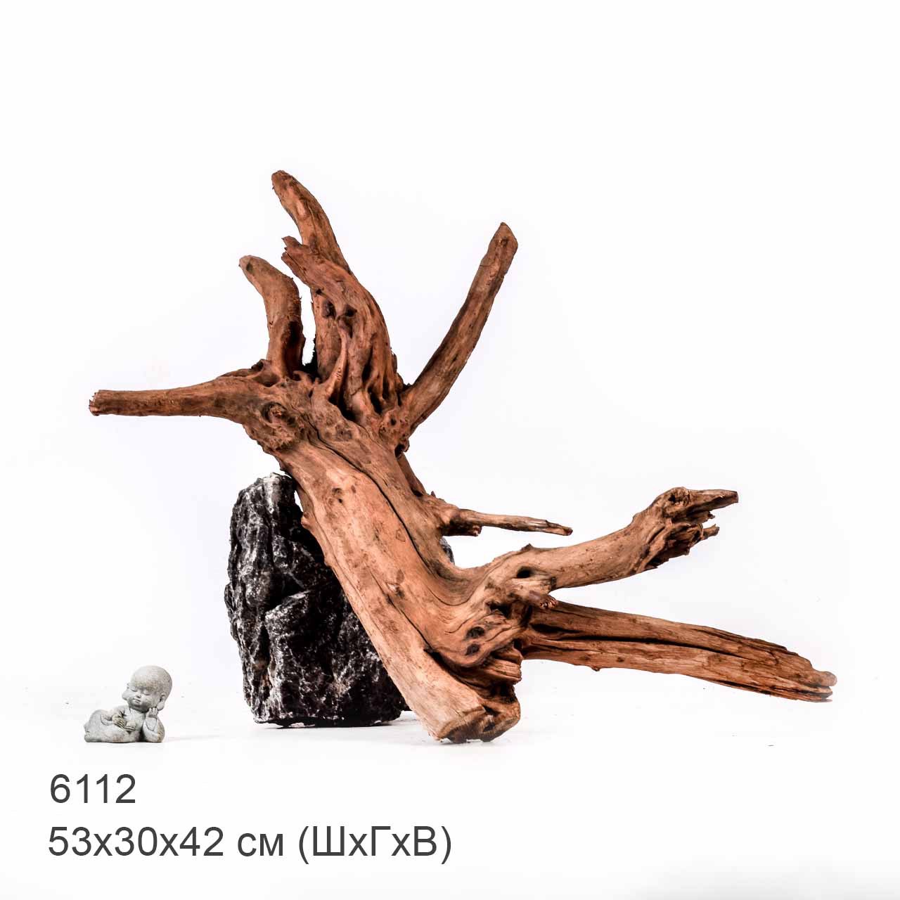 Коряга MASHA BLOOM "Железное дерево" затонувшая мангровая отборная 6112