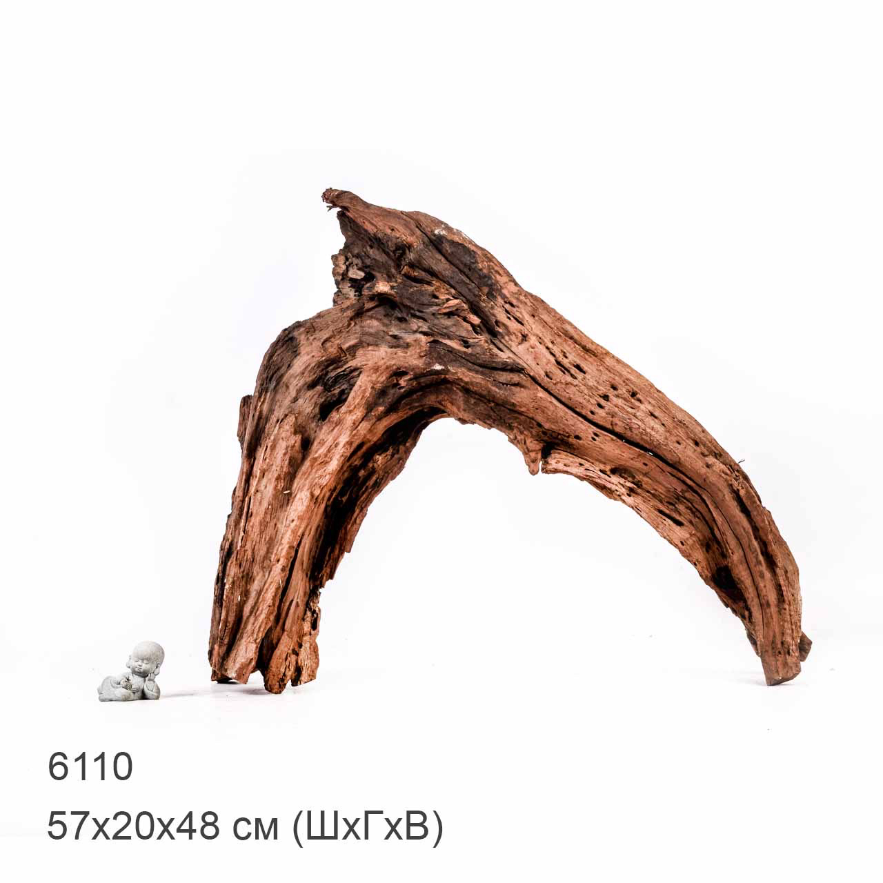 Коряга MASHA BLOOM "Железное дерево" затонувшая мангровая отборная 6110