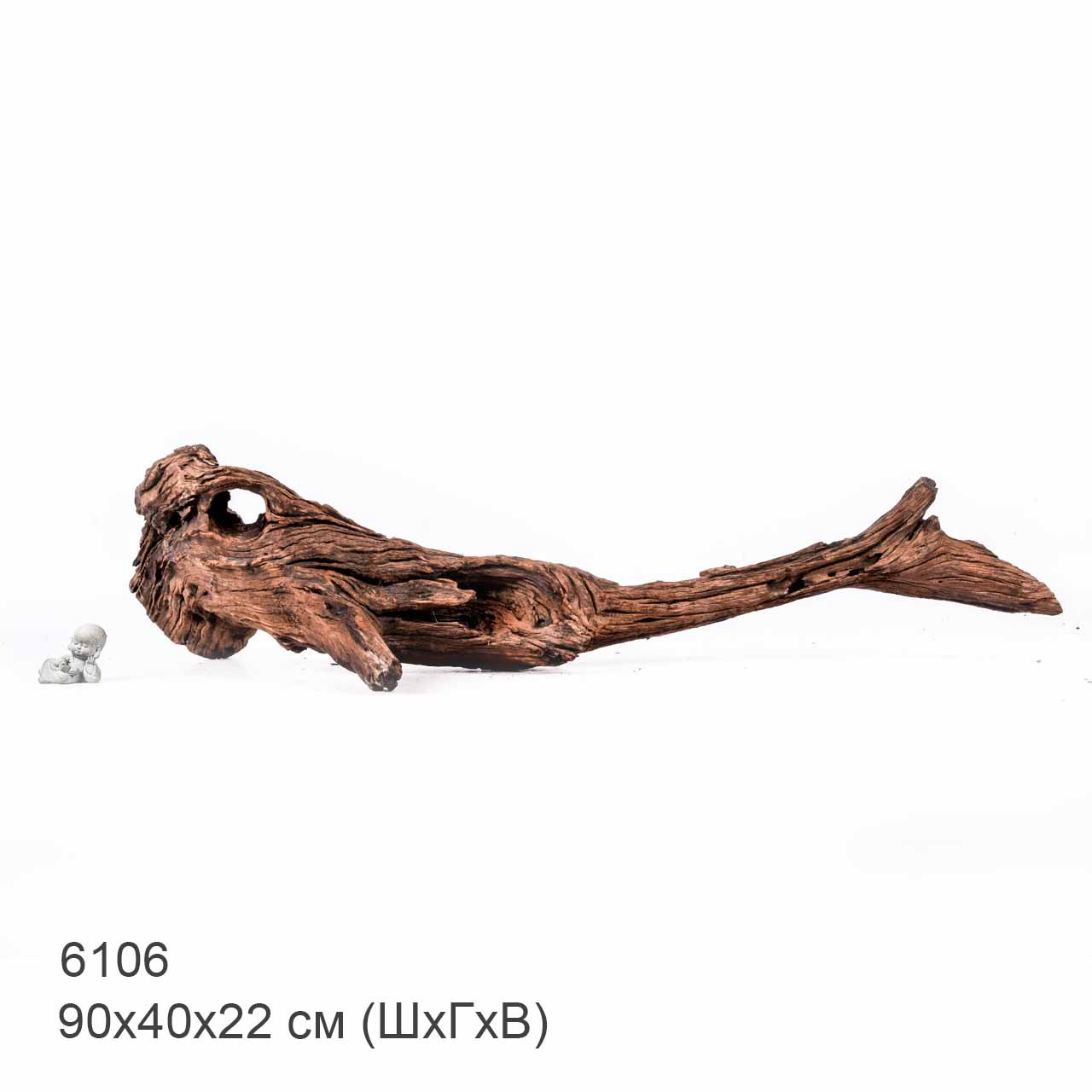 Коряга MASHA BLOOM "Железное дерево" затонувшая мангровая отборная 6106