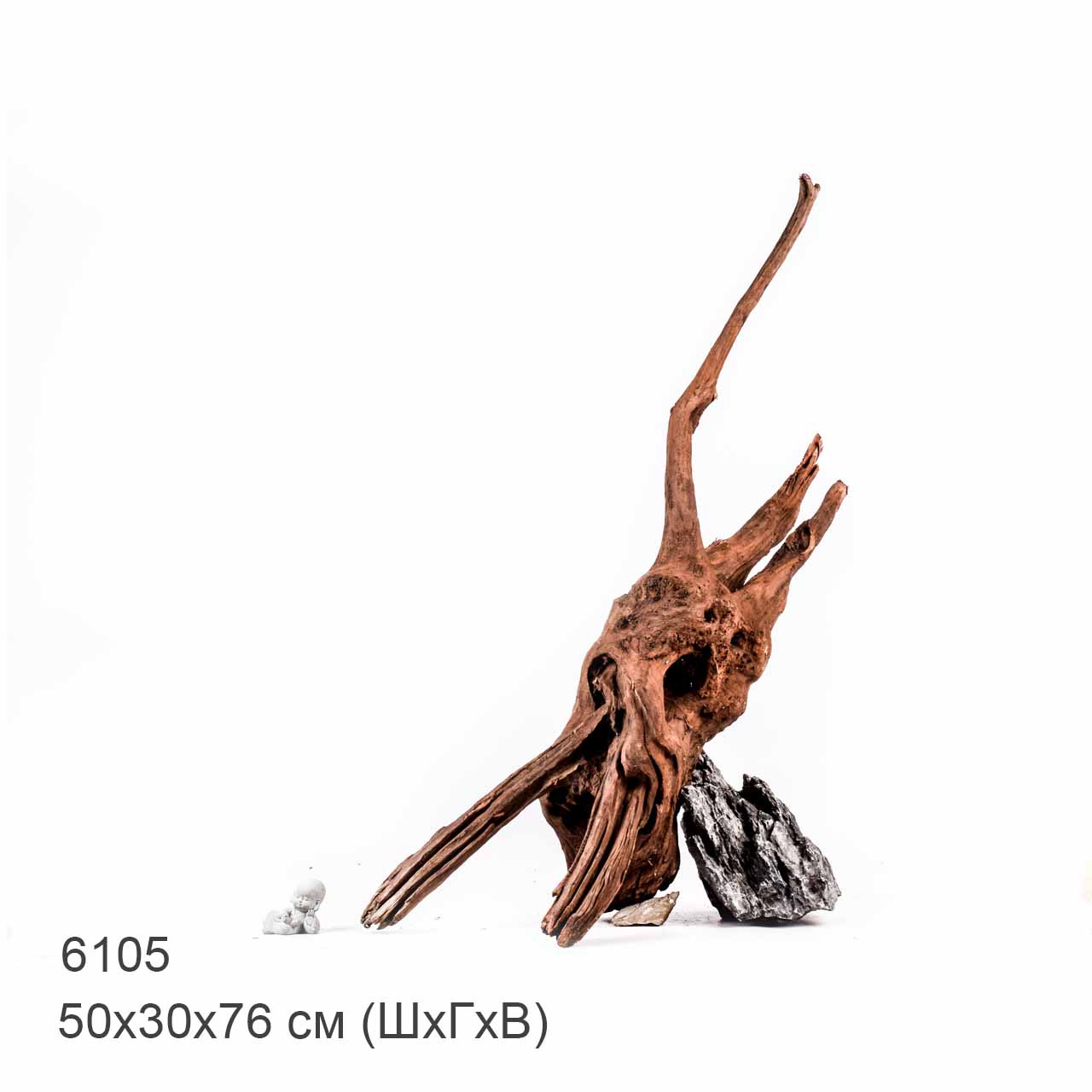Коряга MASHA BLOOM "Железное дерево" затонувшая мангровая отборная 6105