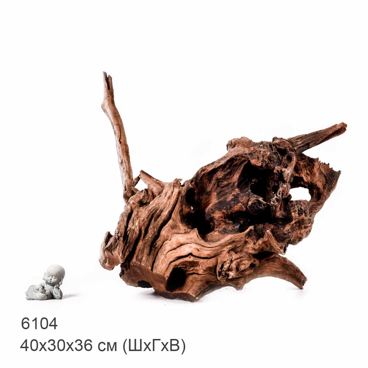 Коряга MASHA BLOOM "Железное дерево" затонувшая мангровая отборная 6104