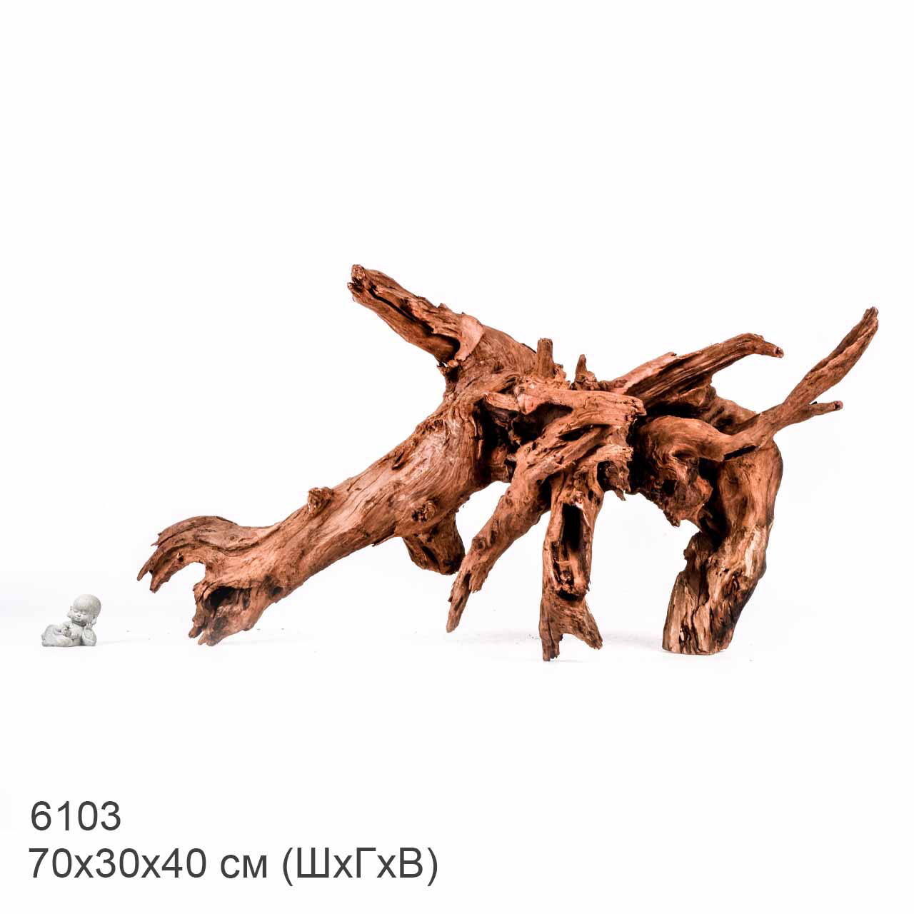 Коряга MASHA BLOOM "Железное дерево" затонувшая мангровая отборная 6103