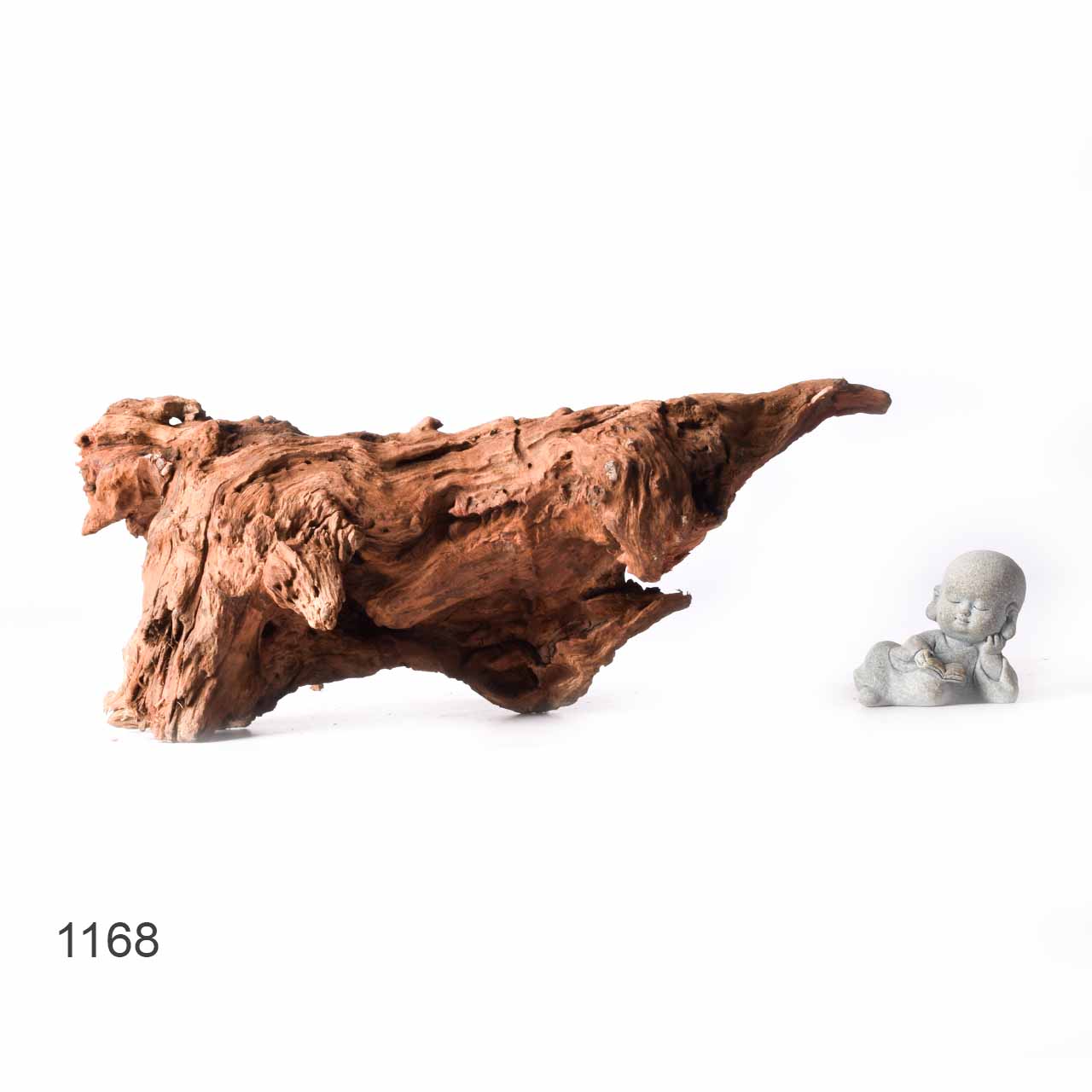 Коряга MASHA BLOOM "Железное дерево" затонувшая мангровая XL - 1168