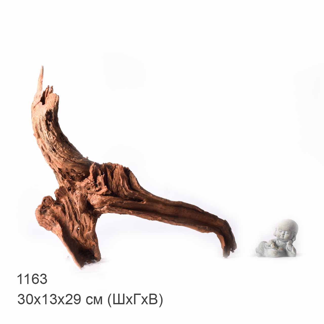 Коряга MASHA BLOOM "Железное дерево" затонувшая мангровая XL - 1163