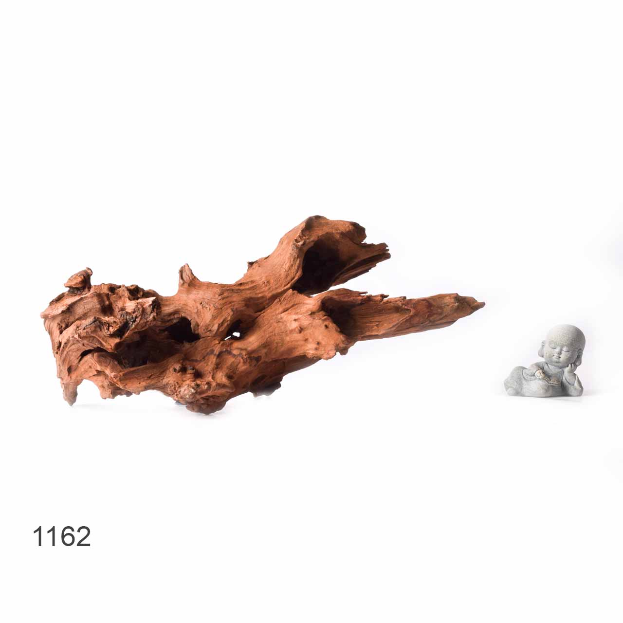 Коряга MASHA BLOOM "Железное дерево" затонувшая мангровая XL - 1162