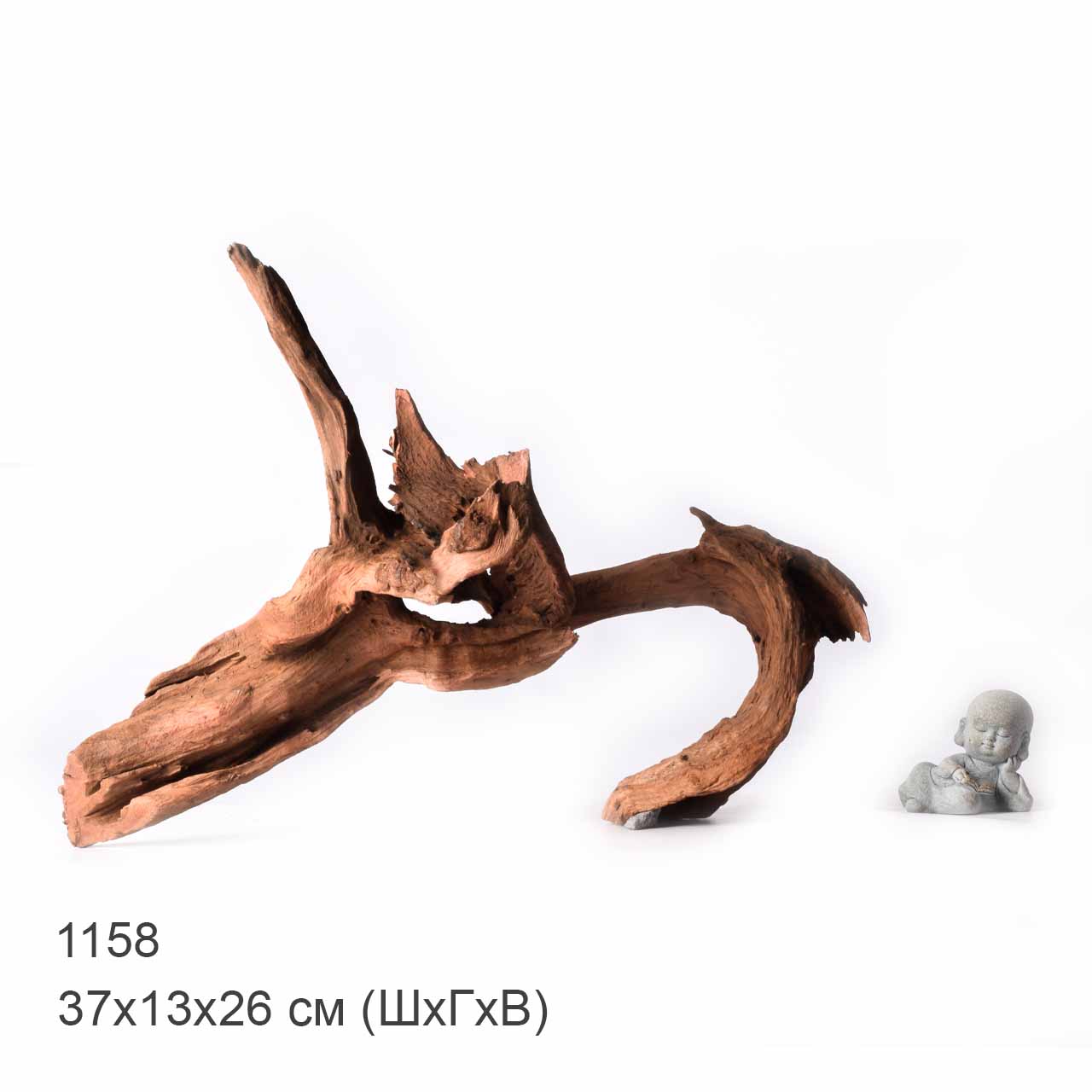 Коряга MASHA BLOOM "Железное дерево" затонувшая мангровая XL - 1158