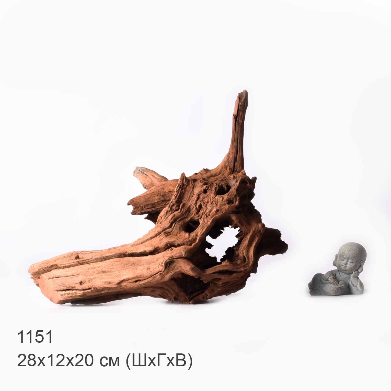 Коряга MASHA BLOOM "Железное дерево" затонувшая мангровая XL - 1151