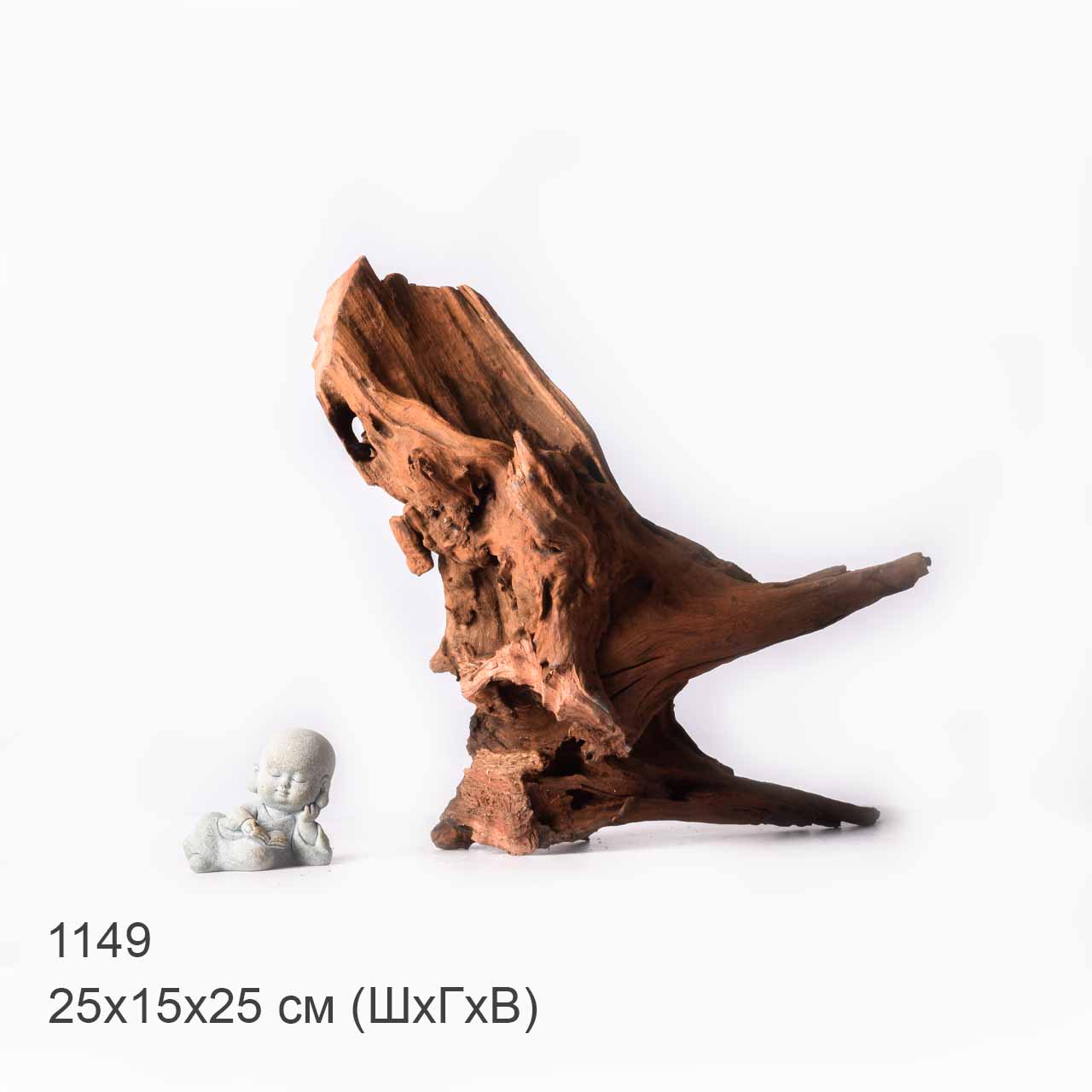 Коряга MASHA BLOOM "Железное дерево" затонувшая мангровая XL - 1149