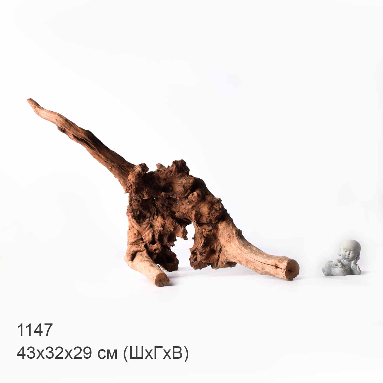 Коряга MASHA BLOOM "Железное дерево" затонувшая мангровая XL - 1147