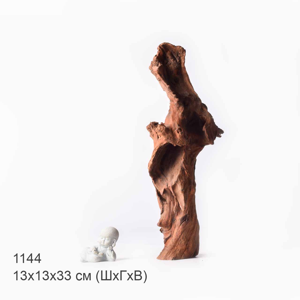 Коряга MASHA BLOOM "Железное дерево" затонувшая мангровая XL - 1144