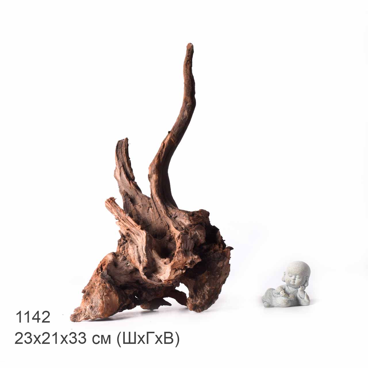 Коряга MASHA BLOOM "Железное дерево" затонувшая мангровая XL - 1142