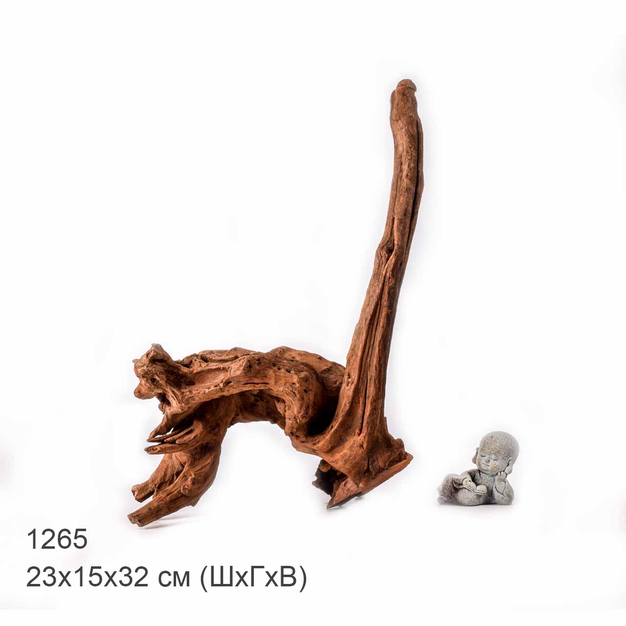 Коряга MASHA BLOOM "Железное дерево" затонувшая мангровая L - 1265