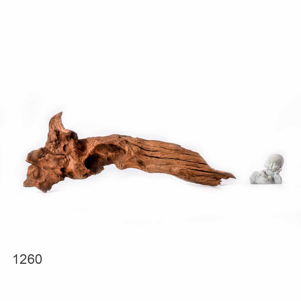 Коряга MASHA BLOOM "Железное дерево" затонувшая мангровая L - 1260