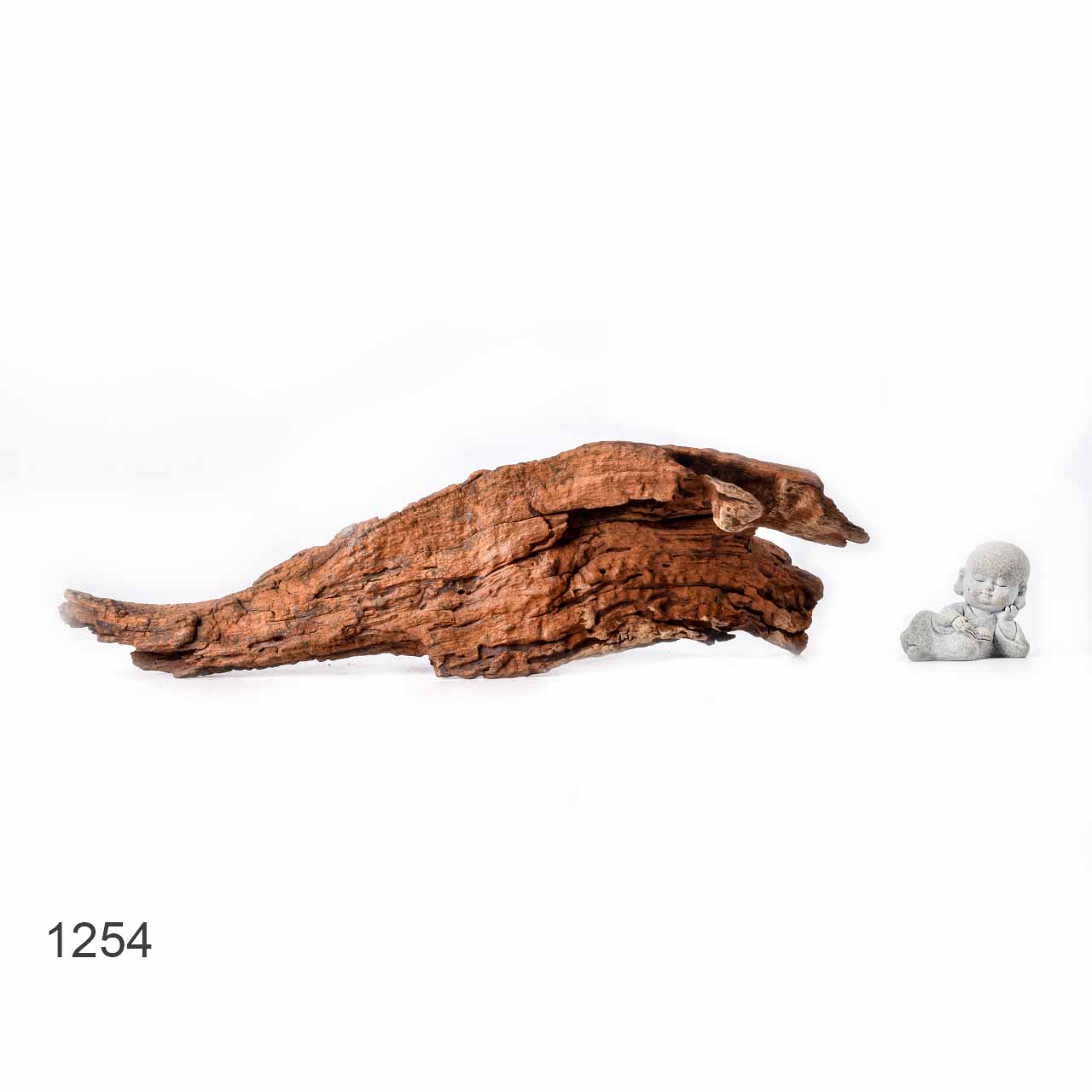 Коряга MASHA BLOOM "Железное дерево" затонувшая мангровая L - 1254