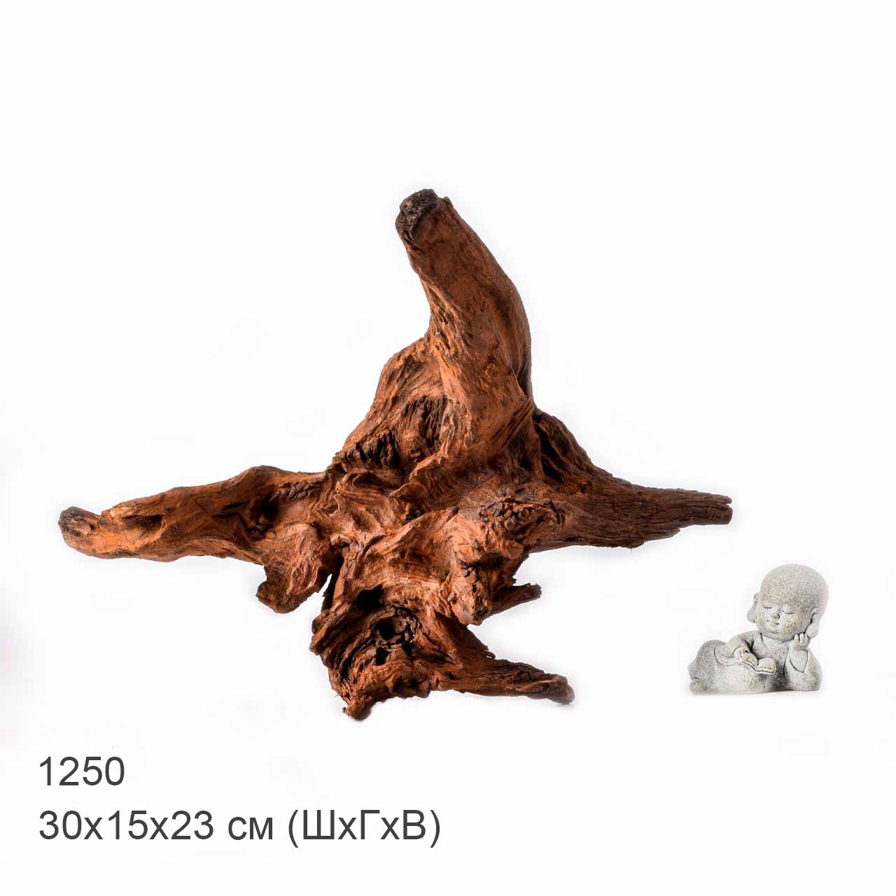 Коряга MASHA BLOOM "Железное дерево" затонувшая мангровая L - 1250