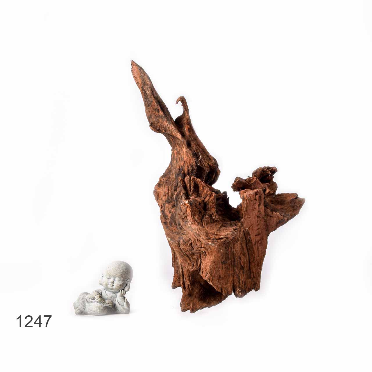 Коряга MASHA BLOOM "Железное дерево" затонувшая мангровая L - 1247
