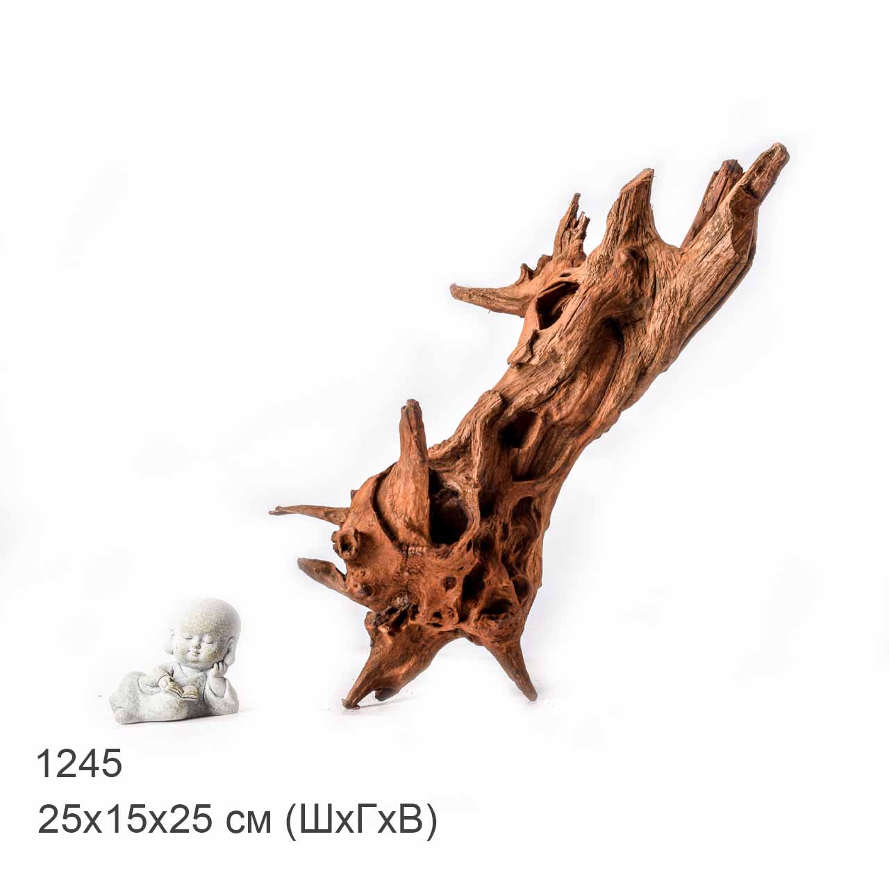 Коряга MASHA BLOOM "Железное дерево" затонувшая мангровая L - 1245