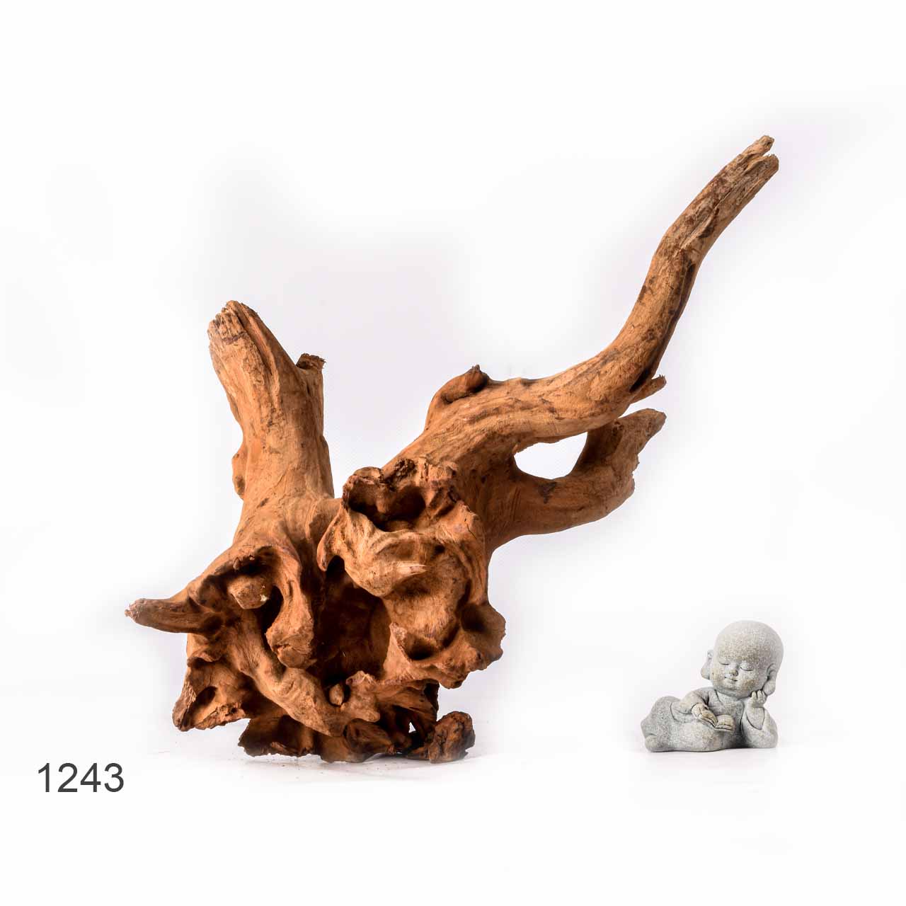 Коряга MASHA BLOOM "Железное дерево" затонувшая мангровая L - 1243