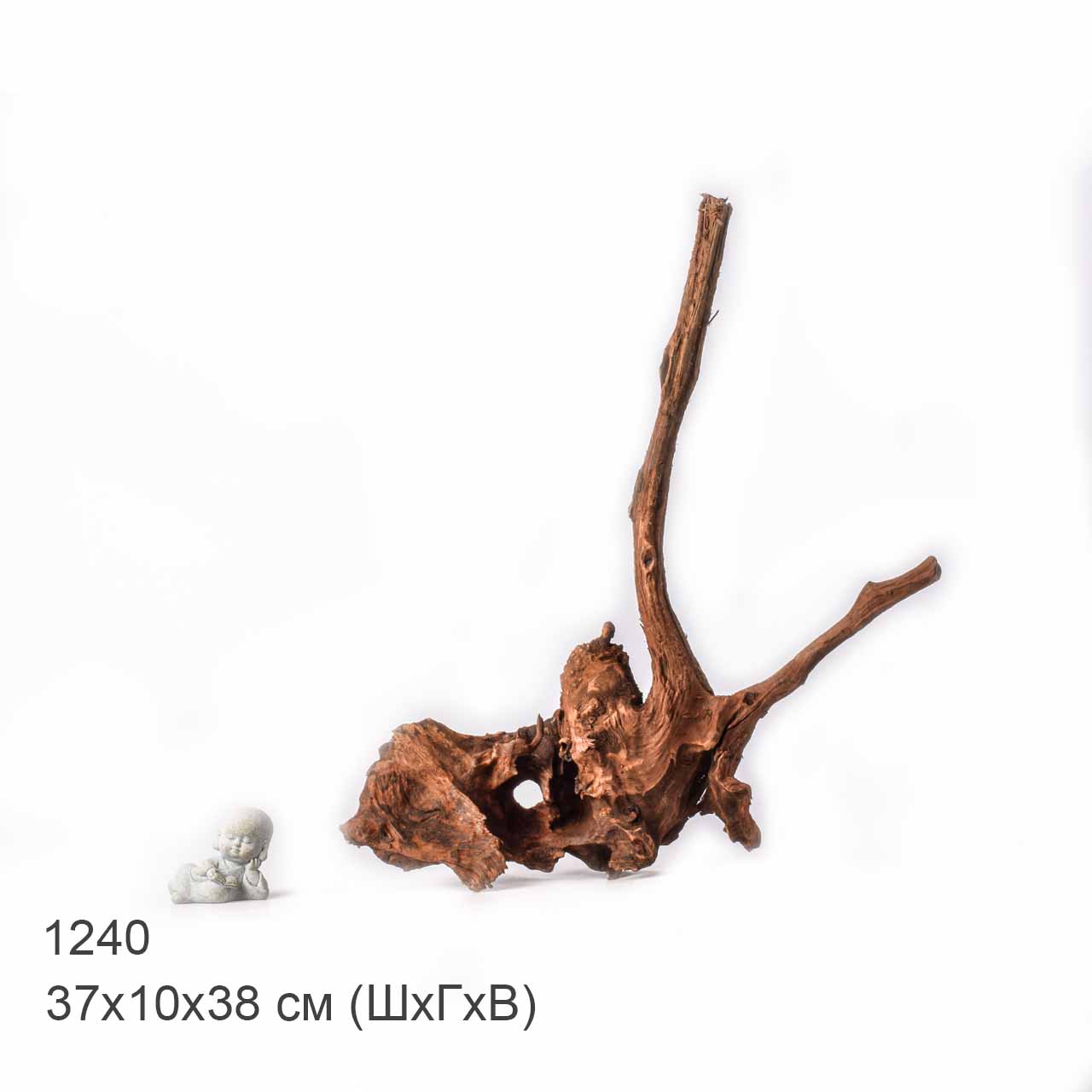 Коряга MASHA BLOOM "Железное дерево" затонувшая мангровая L - 1240