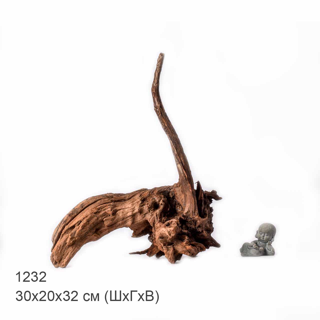 Коряга MASHA BLOOM "Железное дерево" затонувшая мангровая L - 1232