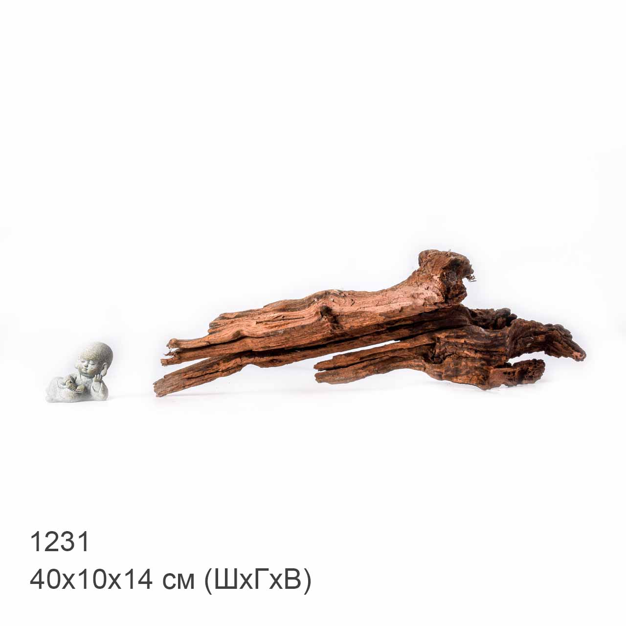 Коряга MASHA BLOOM "Железное дерево" затонувшая мангровая L - 1231