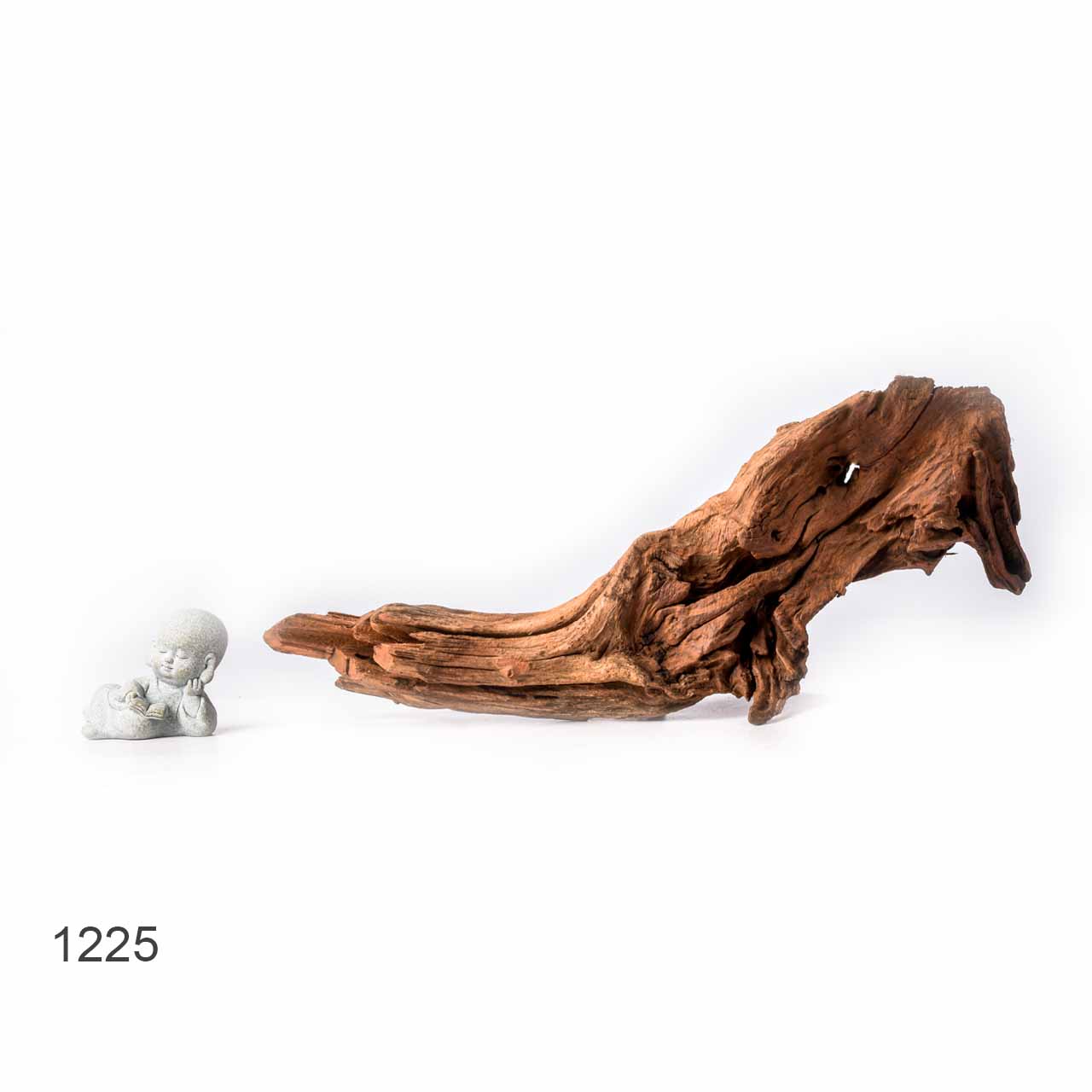 Коряга MASHA BLOOM "Железное дерево" затонувшая мангровая L - 1225