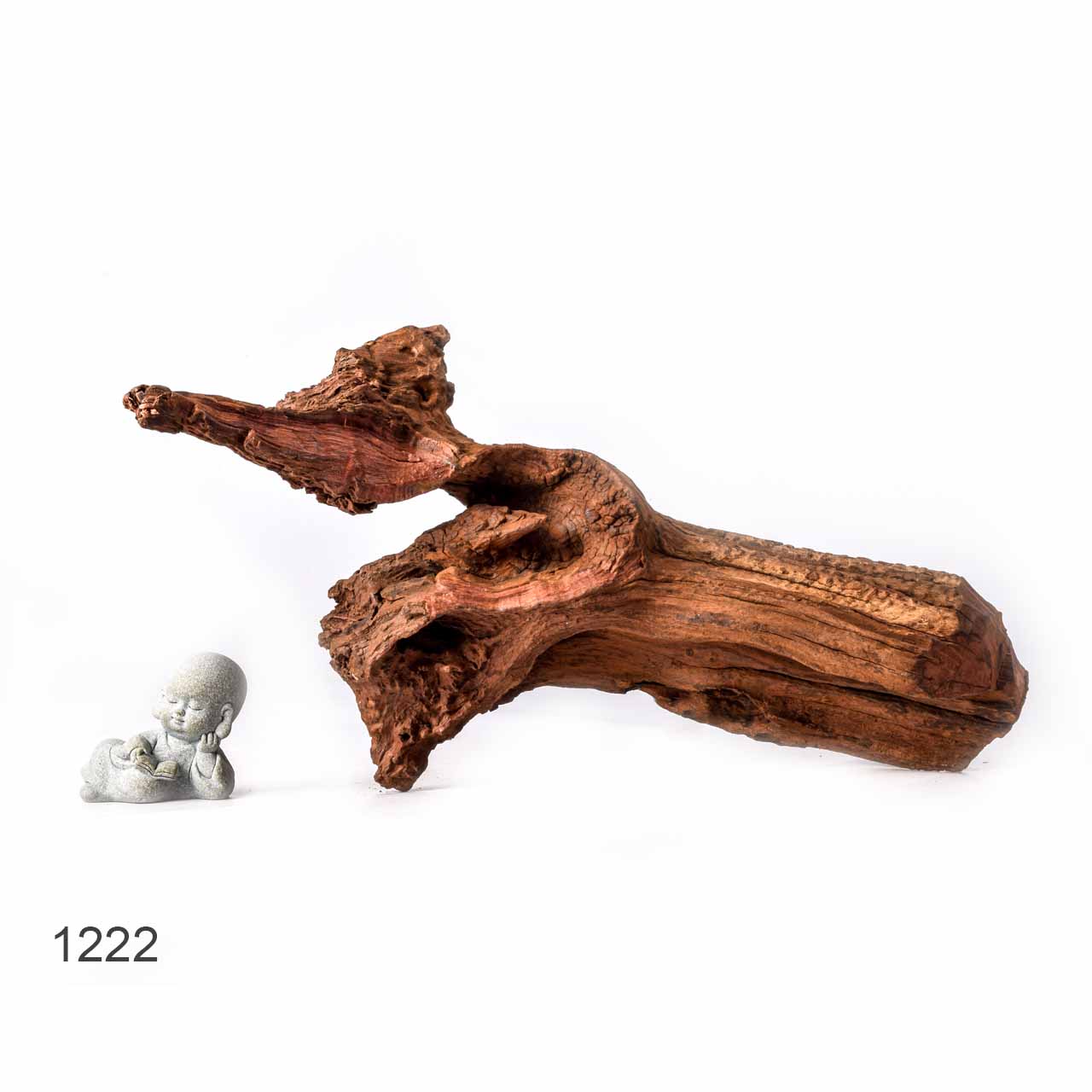 Коряга MASHA BLOOM "Железное дерево" затонувшая мангровая L - 1222