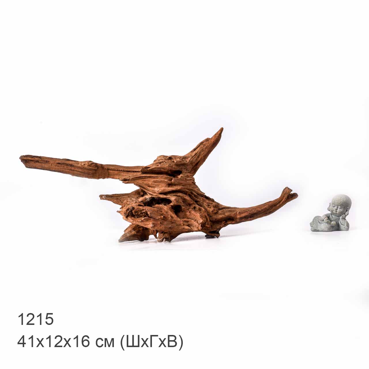Коряга MASHA BLOOM "Железное дерево" затонувшая мангровая L - 1215