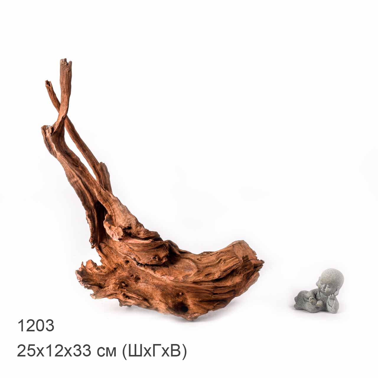 Коряга MASHA BLOOM "Железное дерево" затонувшая мангровая L - 1203