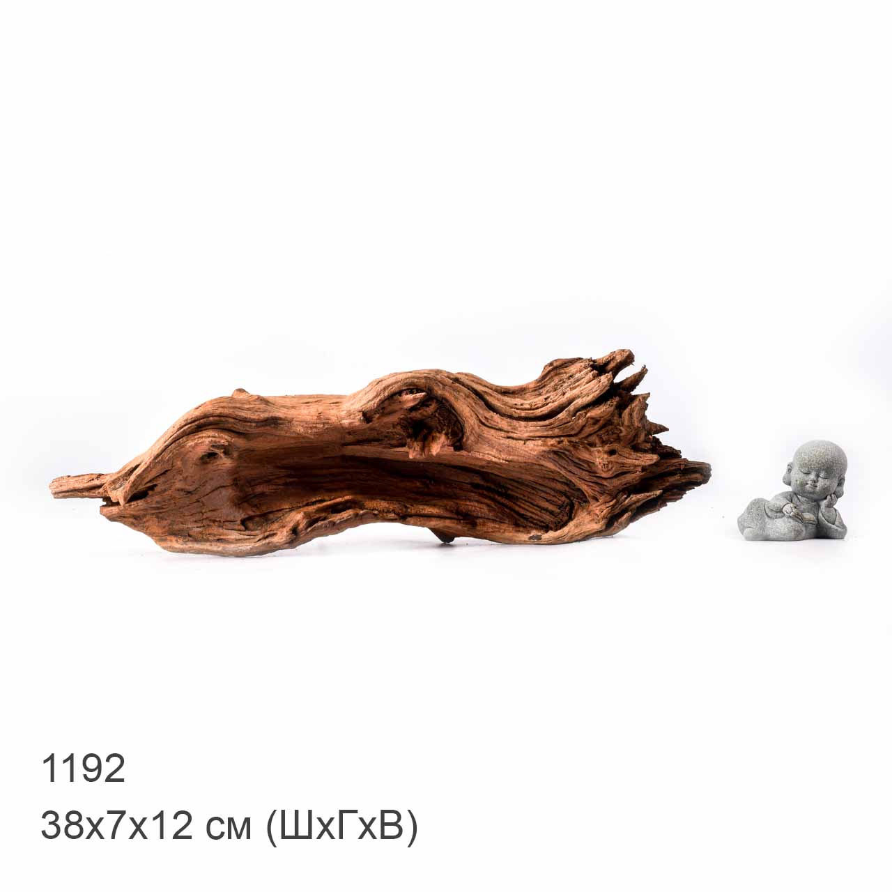 Коряга MASHA BLOOM "Железное дерево" затонувшая мангровая L - 1192