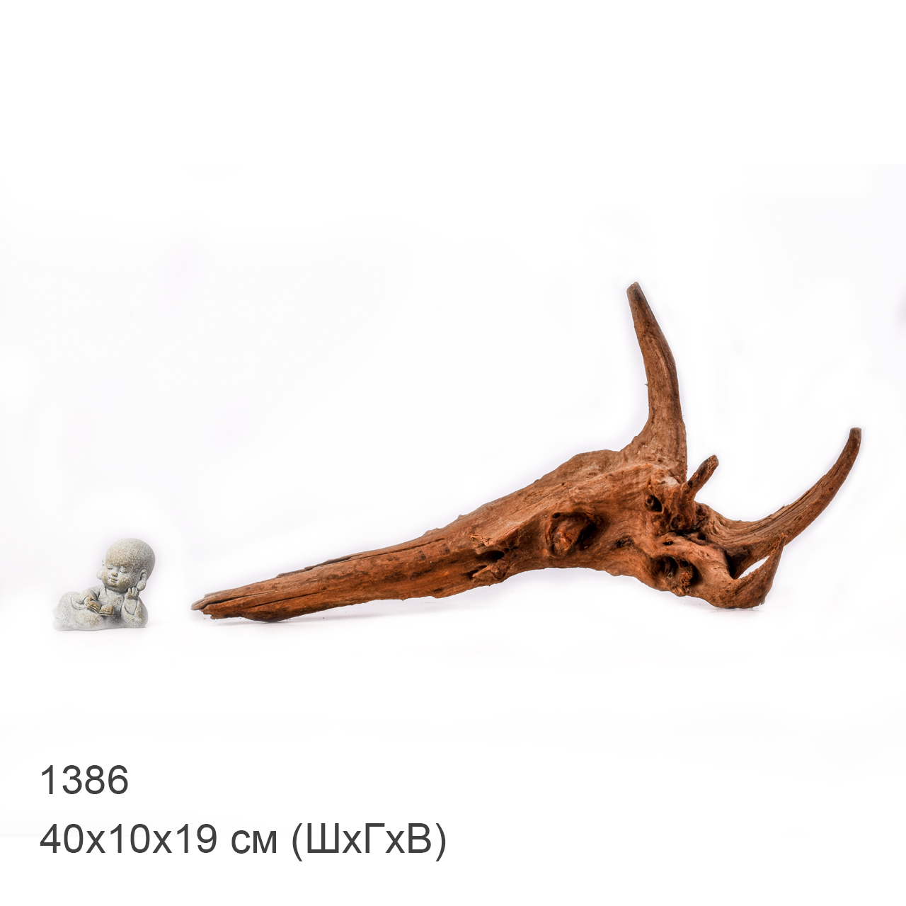 Коряга MASHA BLOOM "Железное дерево" затонувшая мангровая M - 1386