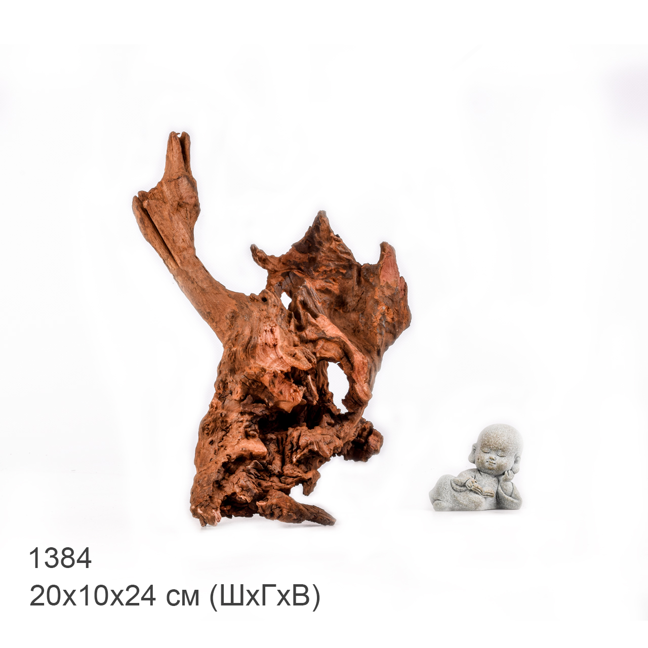 Коряга MASHA BLOOM "Железное дерево" затонувшая мангровая M - 1384