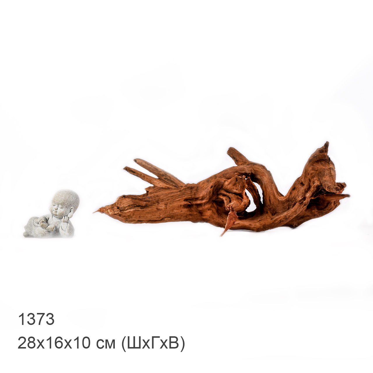 Коряга MASHA BLOOM "Железное дерево" затонувшая мангровая M - 1373