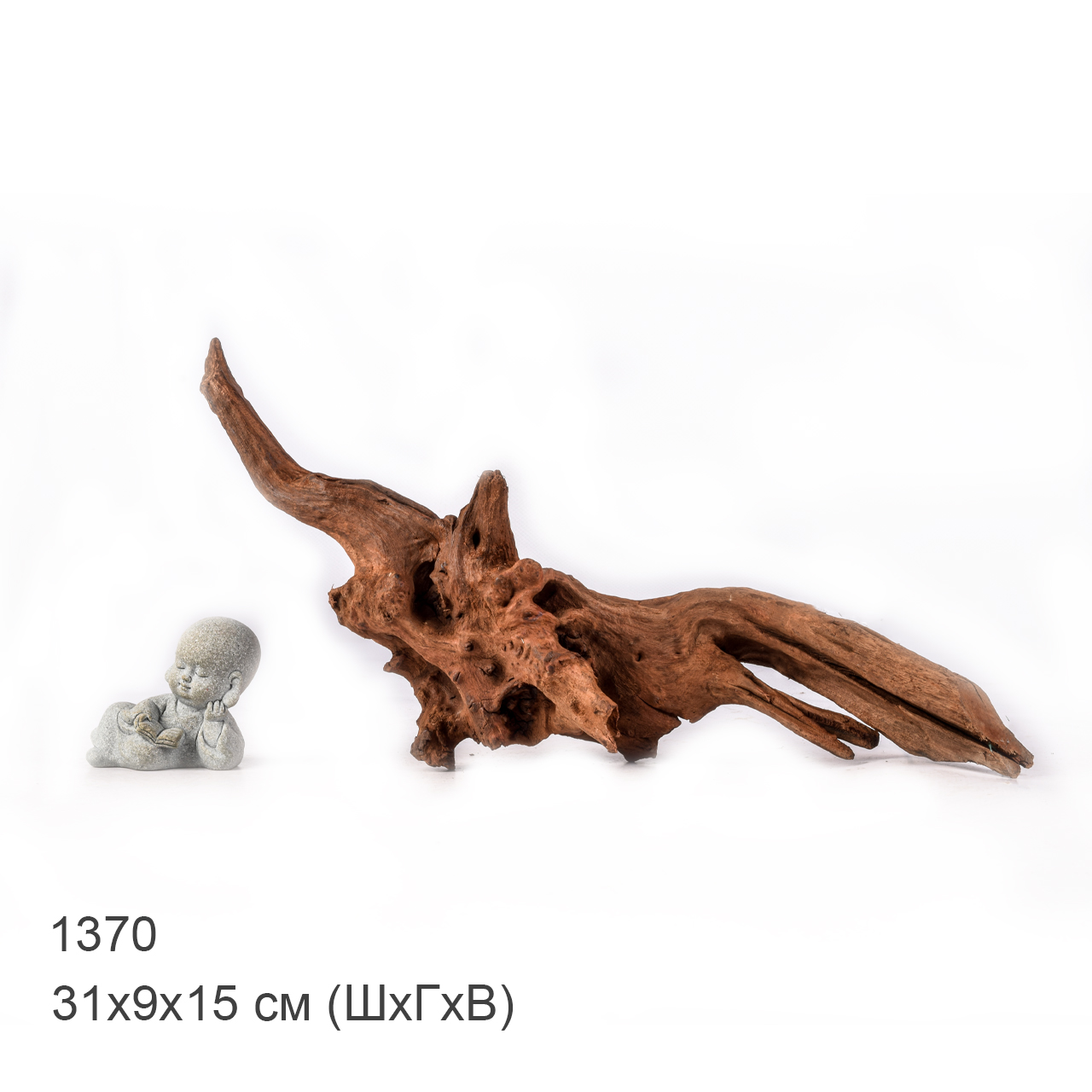 Коряга MASHA BLOOM "Железное дерево" затонувшая мангровая M - 1370