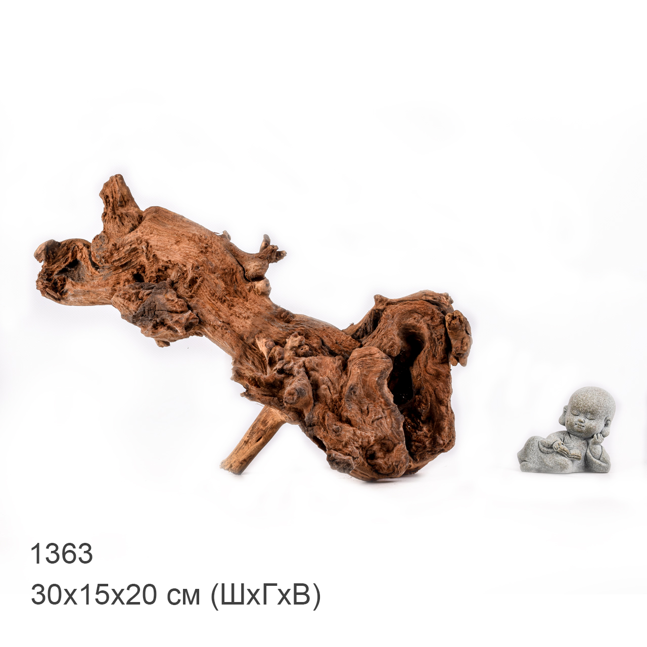 Коряга MASHA BLOOM "Железное дерево" затонувшая мангровая M - 1363