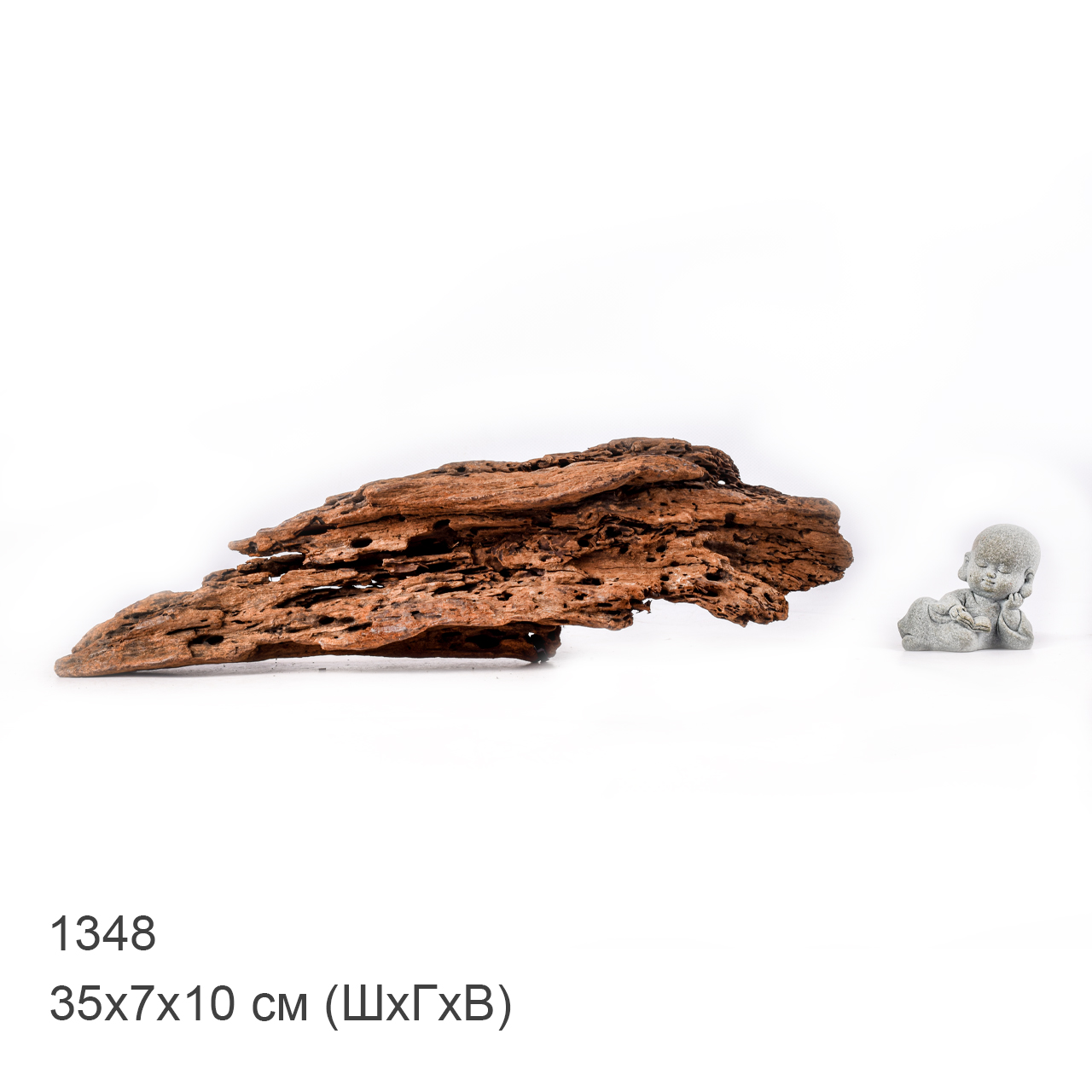 Коряга MASHA BLOOM "Железное дерево" затонувшая мангровая M - 1348