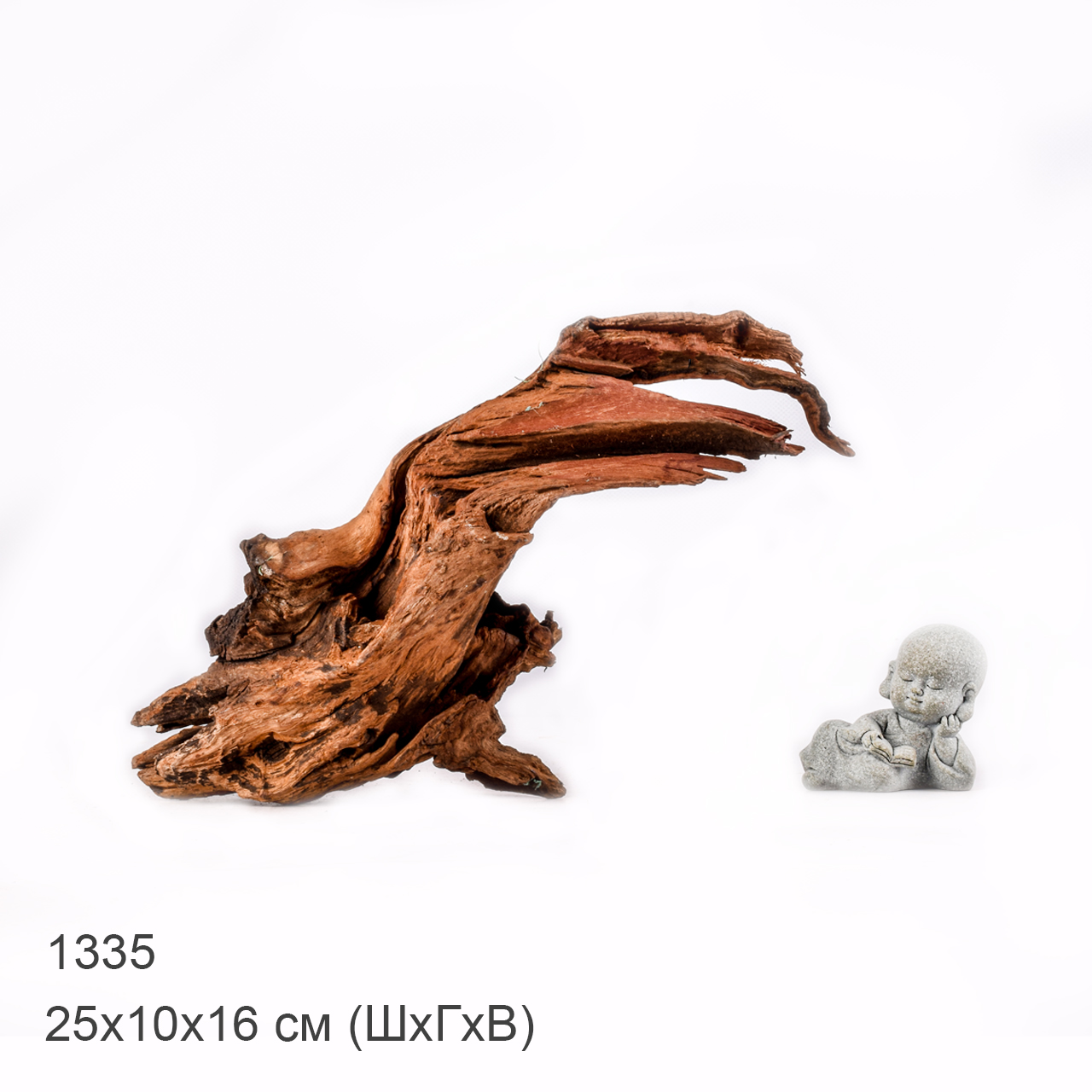 Коряга MASHA BLOOM "Железное дерево" затонувшая мангровая M - 1335