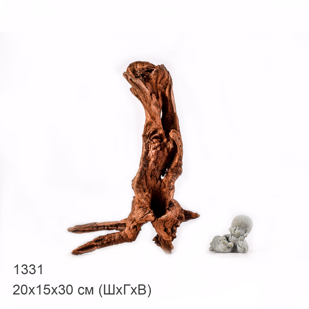 Коряга MASHA BLOOM "Железное дерево" затонувшая мангровая M - 1331