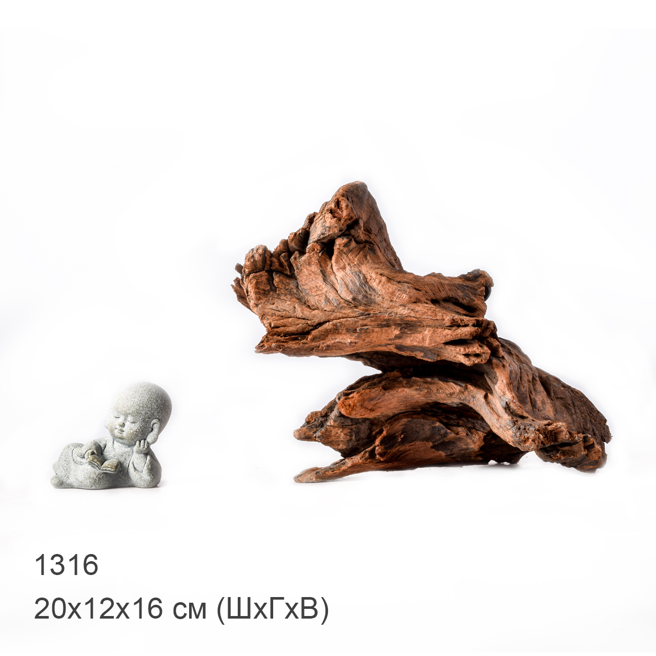 Коряга MASHA BLOOM "Железное дерево" затонувшая мангровая M - 1316