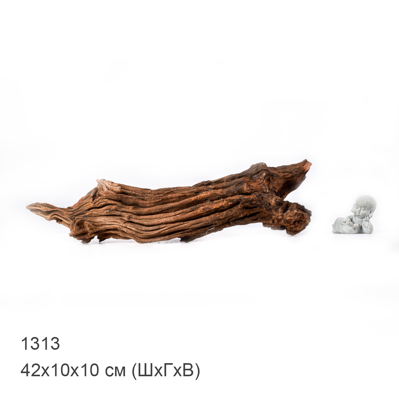 Коряга MASHA BLOOM "Железное дерево" затонувшая мангровая M - 1313