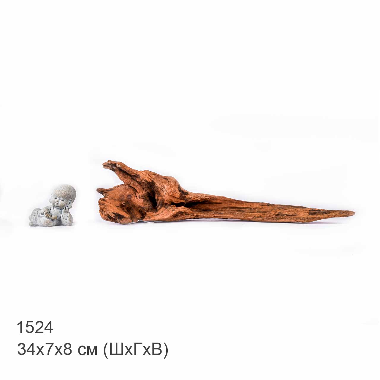 Коряга MASHA BLOOM "Железное дерево" затонувшая мангровая S - 1524