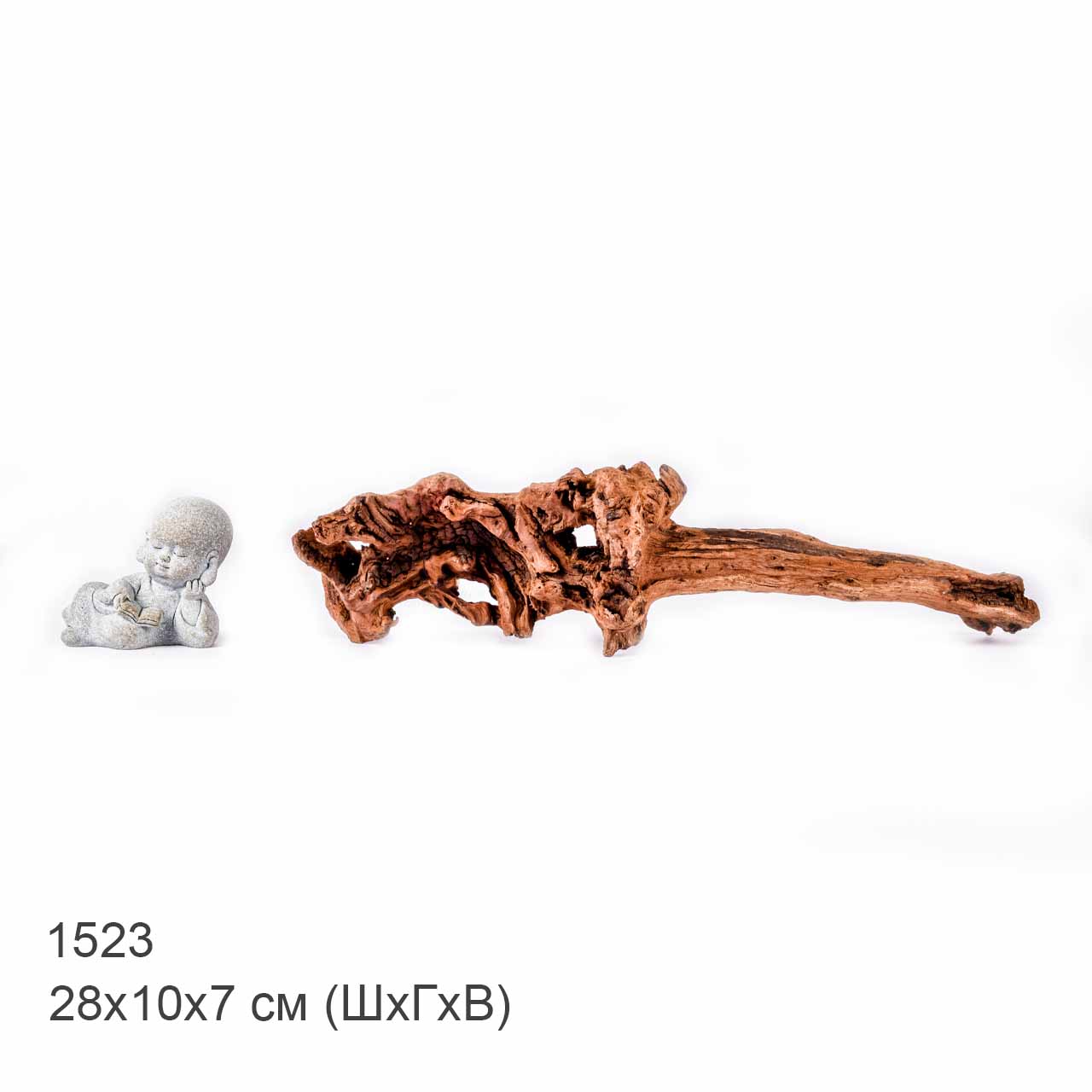 Коряга MASHA BLOOM "Железное дерево" затонувшая мангровая S - 1523