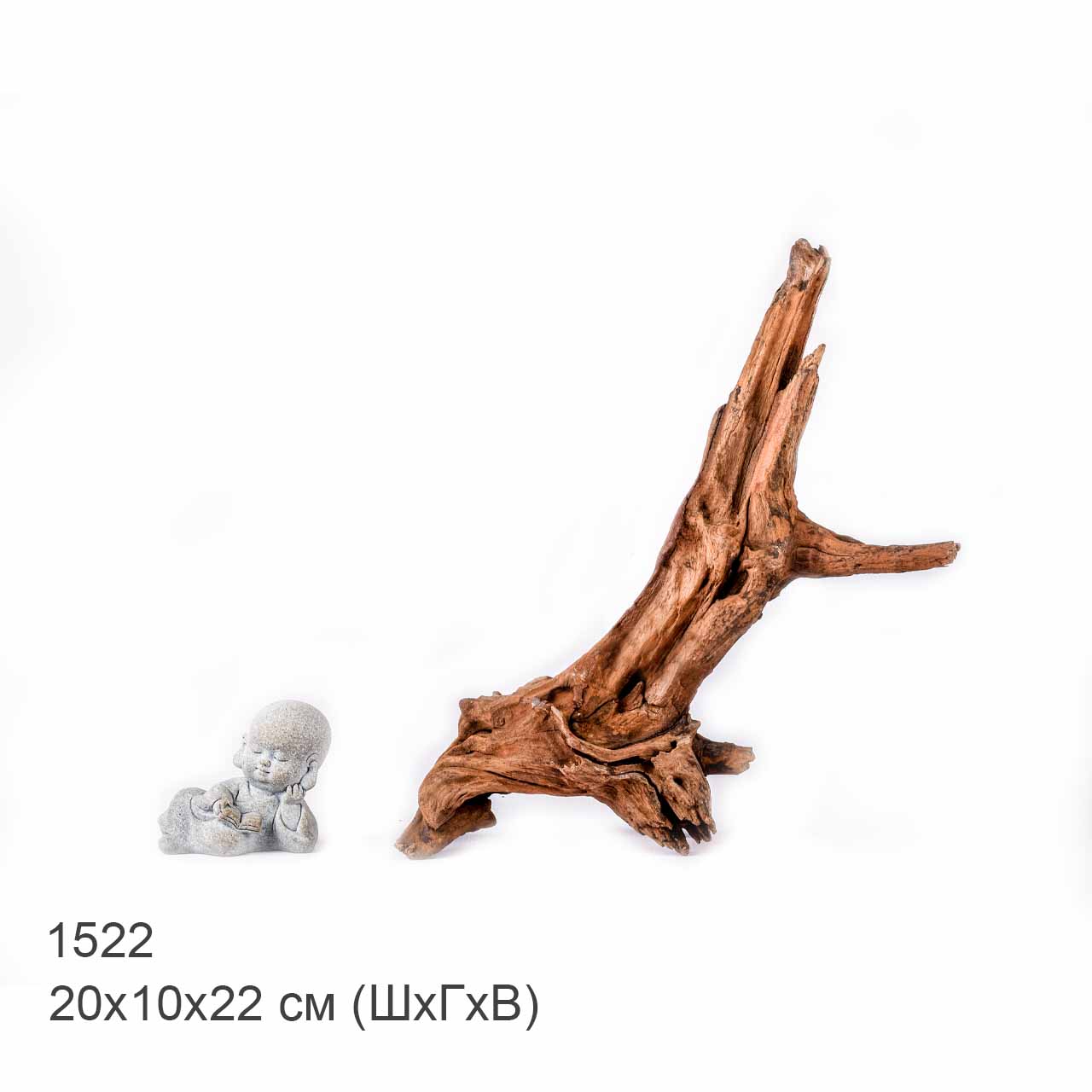 Коряга MASHA BLOOM "Железное дерево" затонувшая мангровая S - 1522