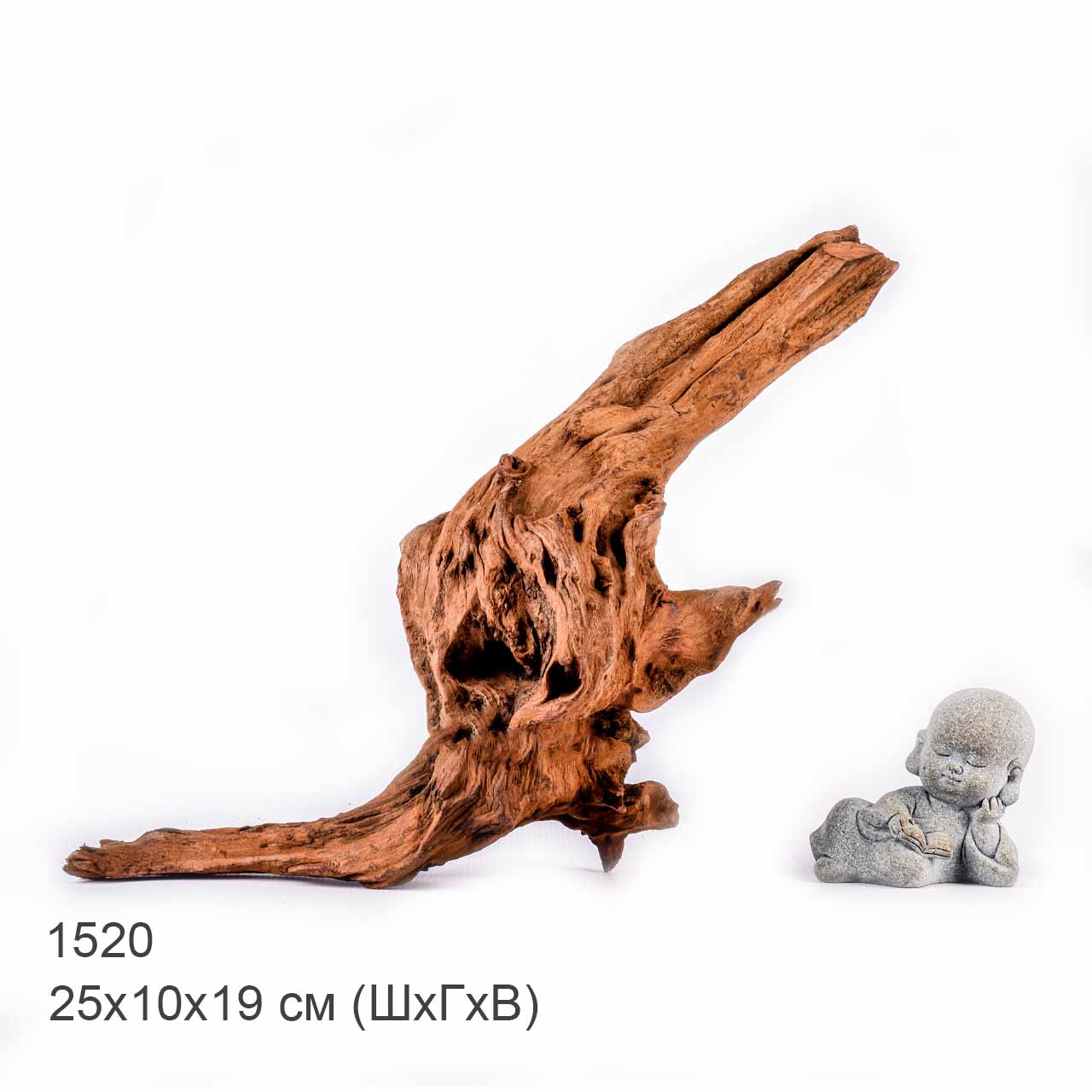 Коряга MASHA BLOOM "Железное дерево" затонувшая мангровая S - 1520