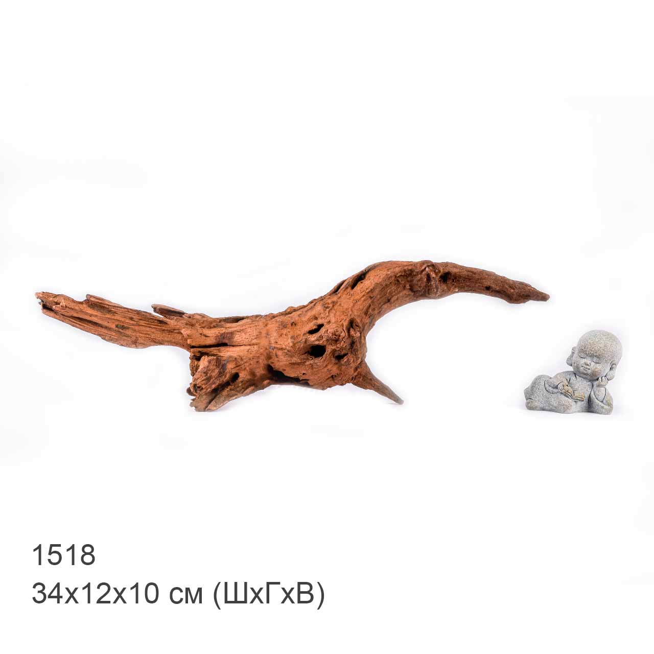 Коряга MASHA BLOOM "Железное дерево" затонувшая мангровая S - 1518