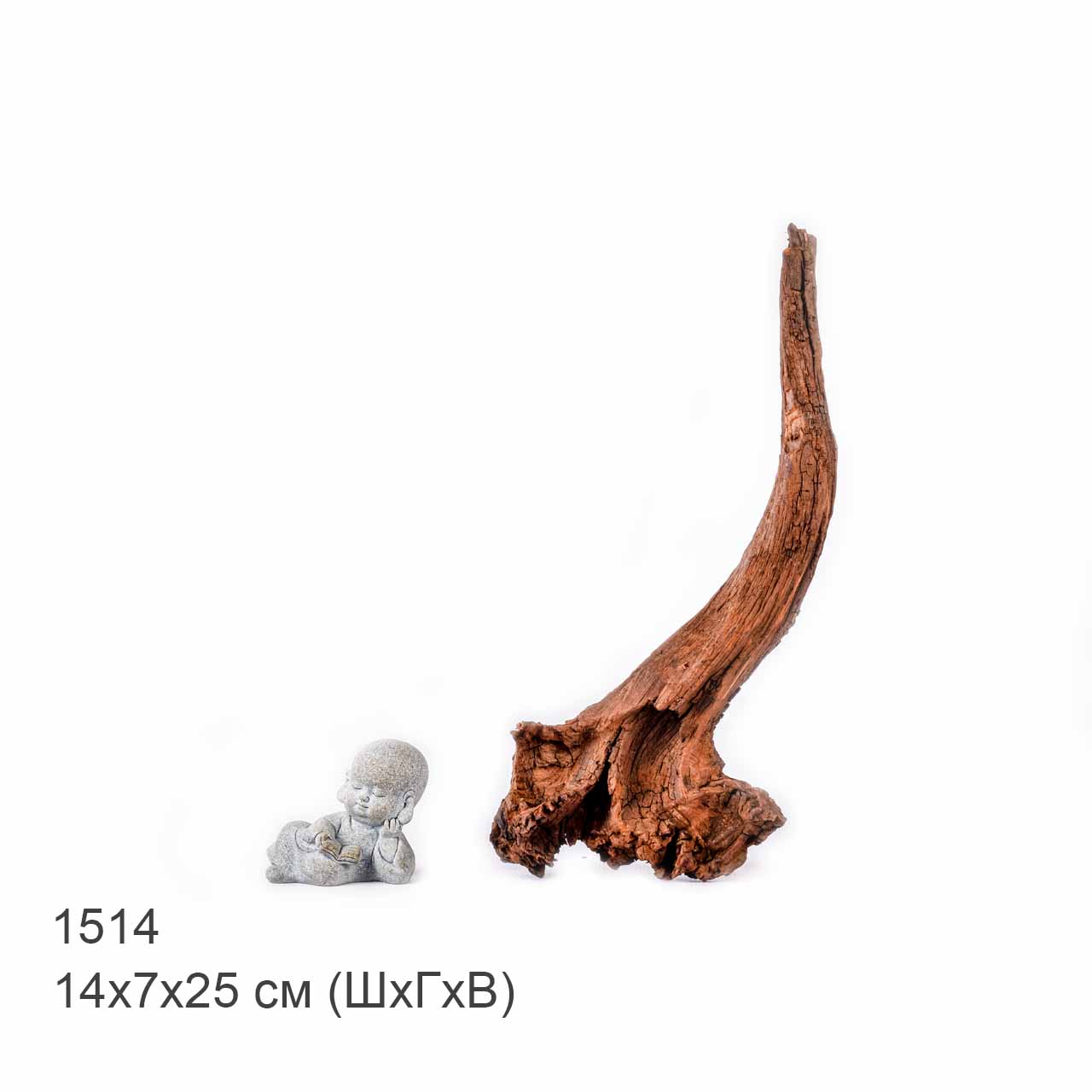 Коряга MASHA BLOOM "Железное дерево" затонувшая мангровая S - 1514