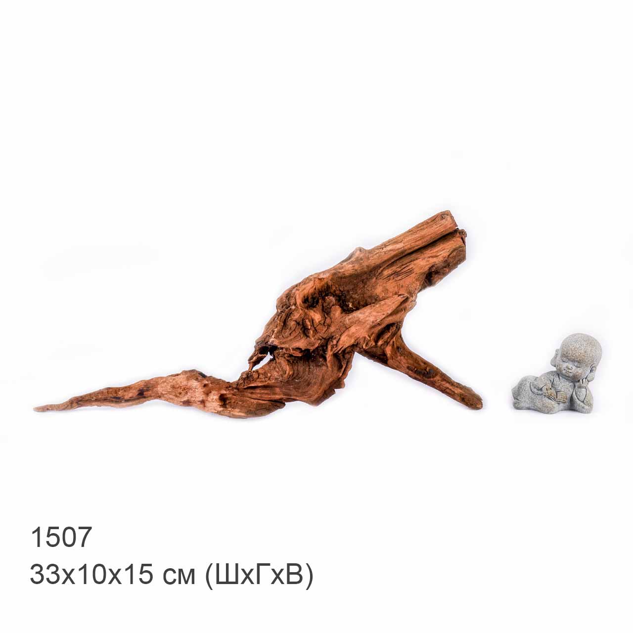 Коряга MASHA BLOOM "Железное дерево" затонувшая мангровая S - 1507