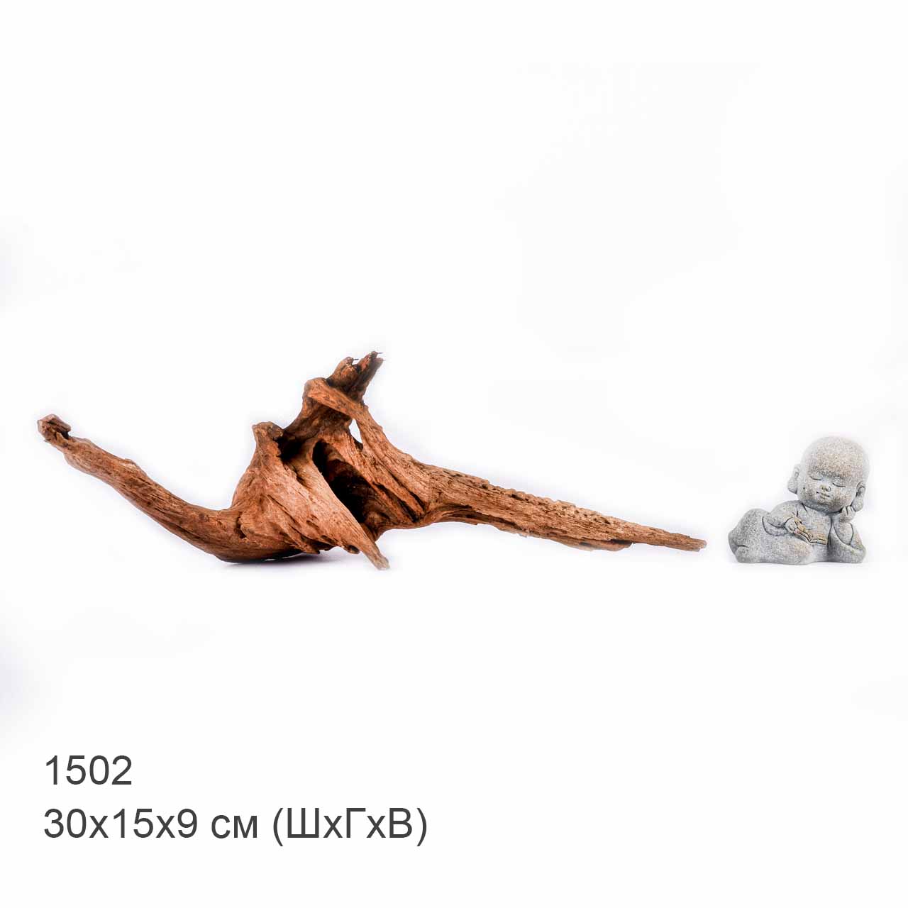 Коряга MASHA BLOOM "Железное дерево" затонувшая мангровая S - 1502